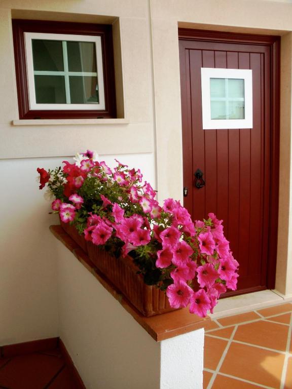 Casa Do Largo - Golega - Turismo De Habitacao Hotel Buitenkant foto